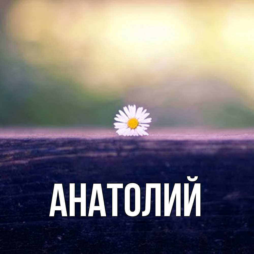 Открытка  с именем. Анатолий, Главная  