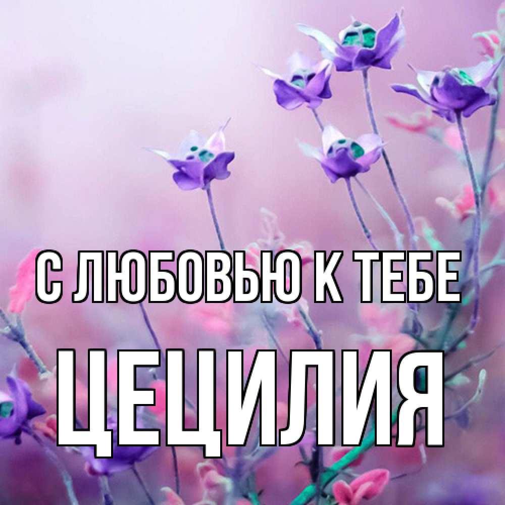 Открытка  с именем. Цецилия, С любовью к тебе  