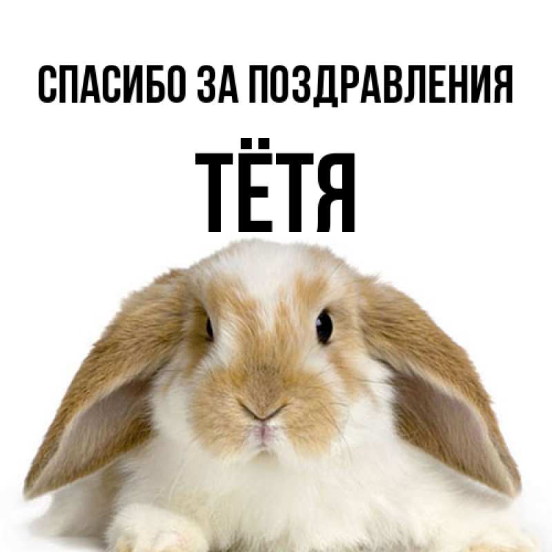 Картинка Спасибо за поздравления, Тётя