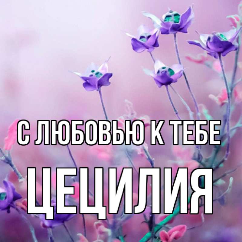 Картинка С любовью к тебе, Цецилия