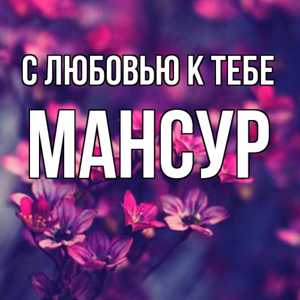 Открытка  с именем. Мансур, С любовью к тебе  