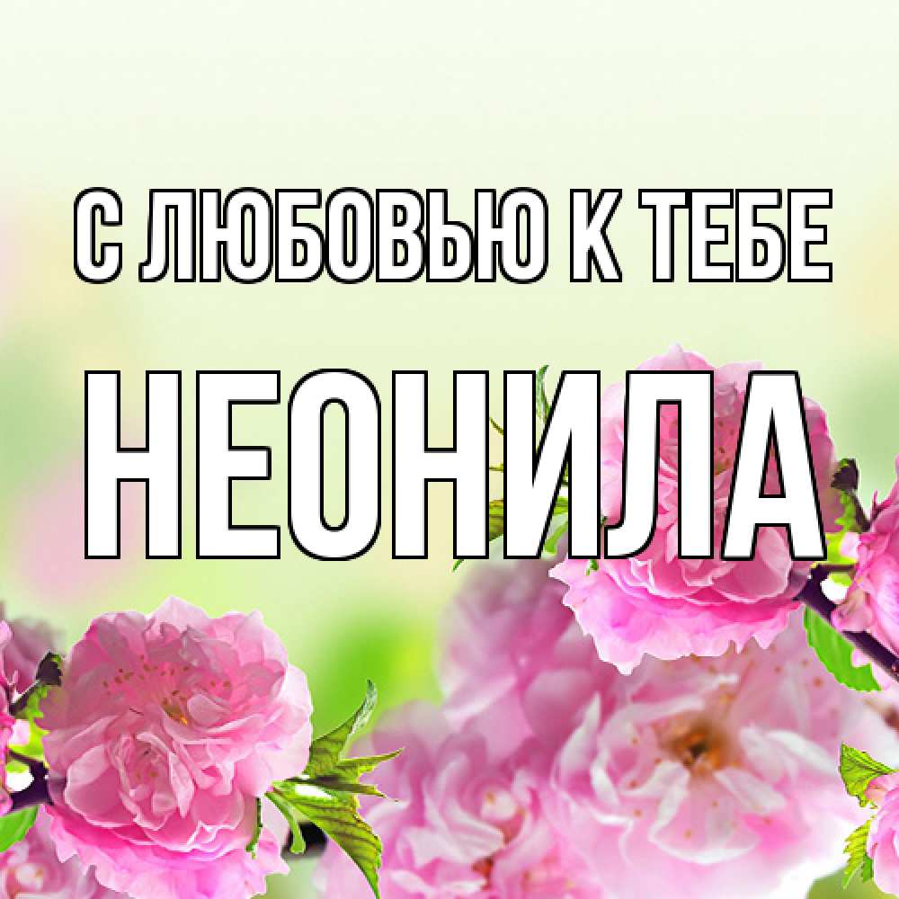 Открытка  с именем. Неонила, С любовью к тебе  