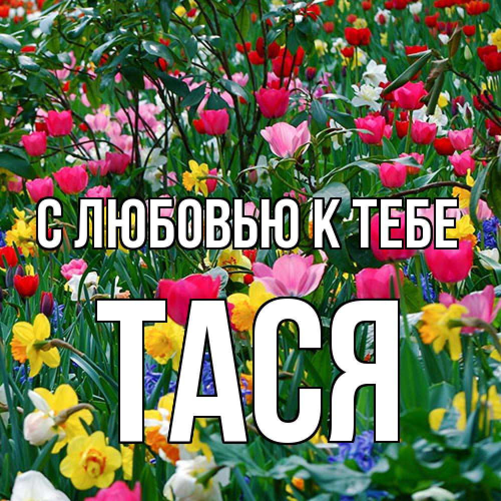 Открытка  с именем. Тася, С любовью к тебе  