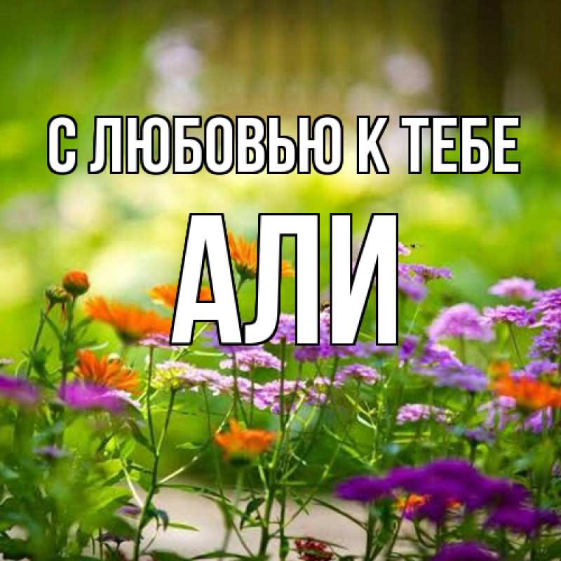 Картинка С любовью к тебе, Али