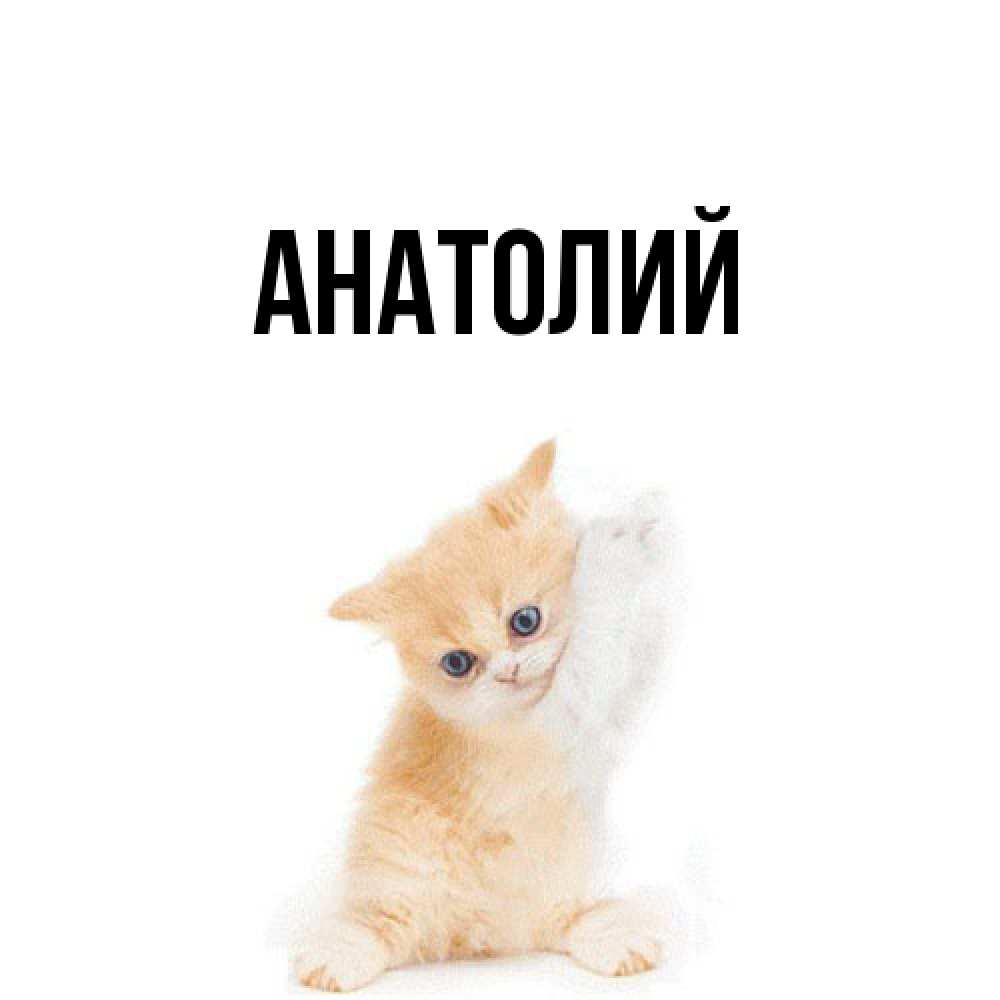 Открытка  с именем. Анатолий, Главная  