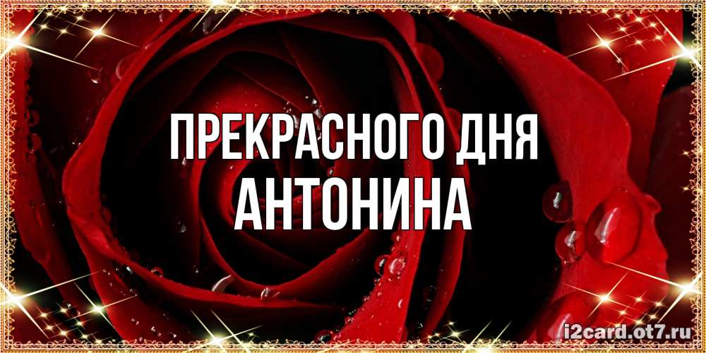 Открытка  с именем. Антонина, Прекрасного дня  