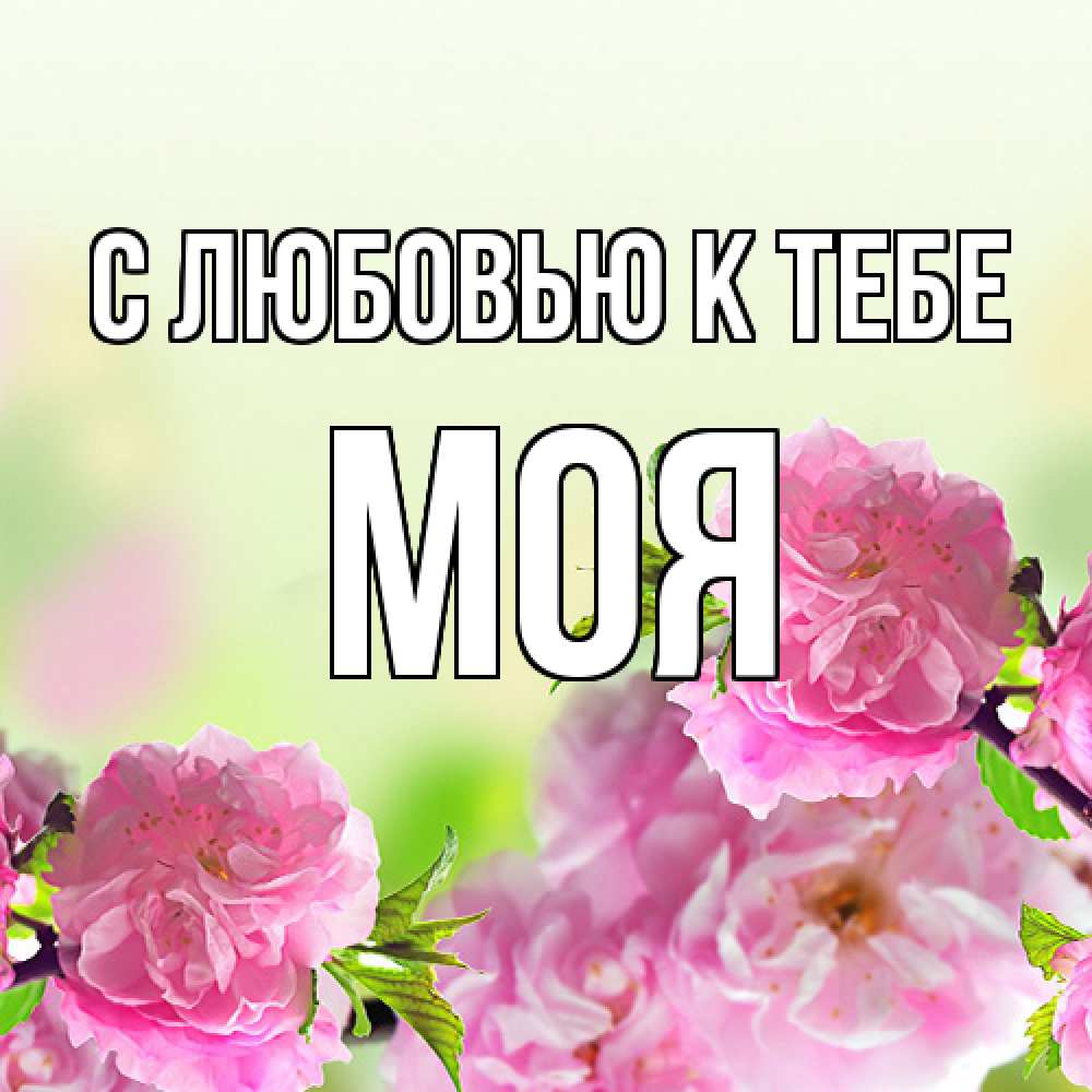 Открытка  с именем. Моя, С любовью к тебе  