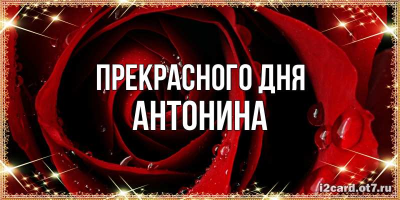 Картинка Прекрасного дня, Антонина