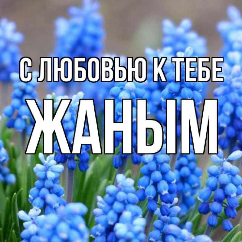 Картинка С любовью к тебе, Жаным