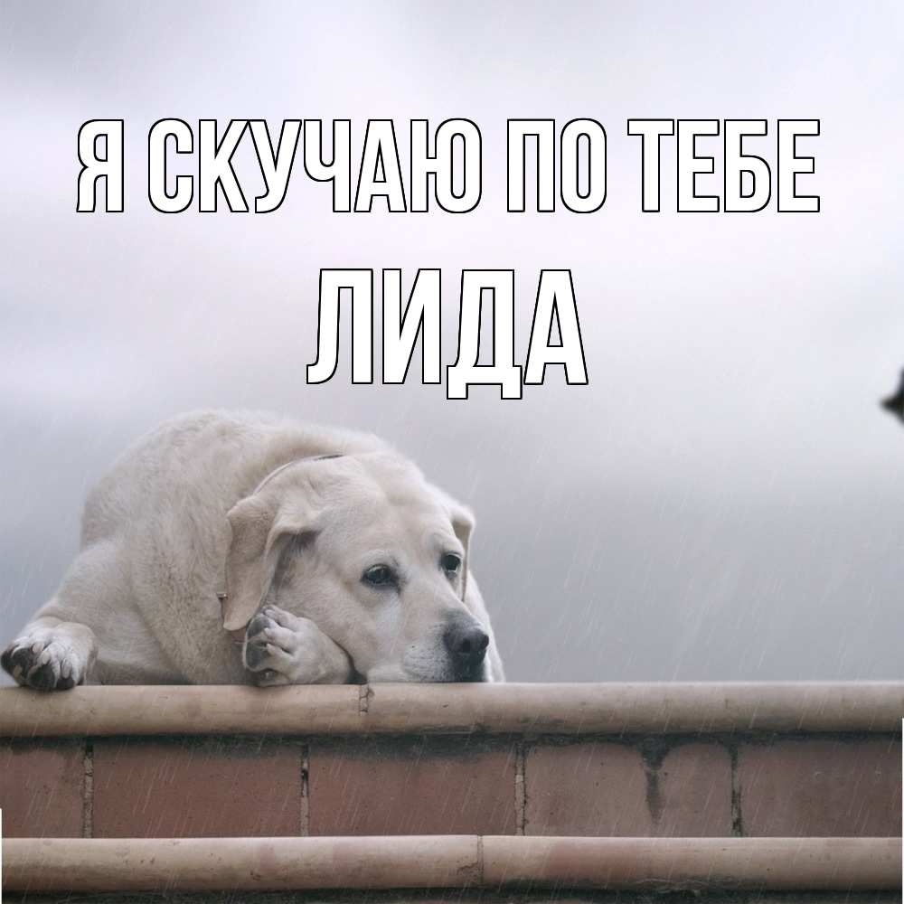 Открытка  с именем. Лида, Я скучаю по тебе  