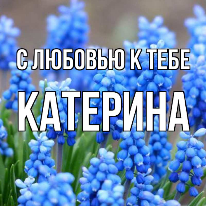 Картинка С любовью к тебе, Катерина