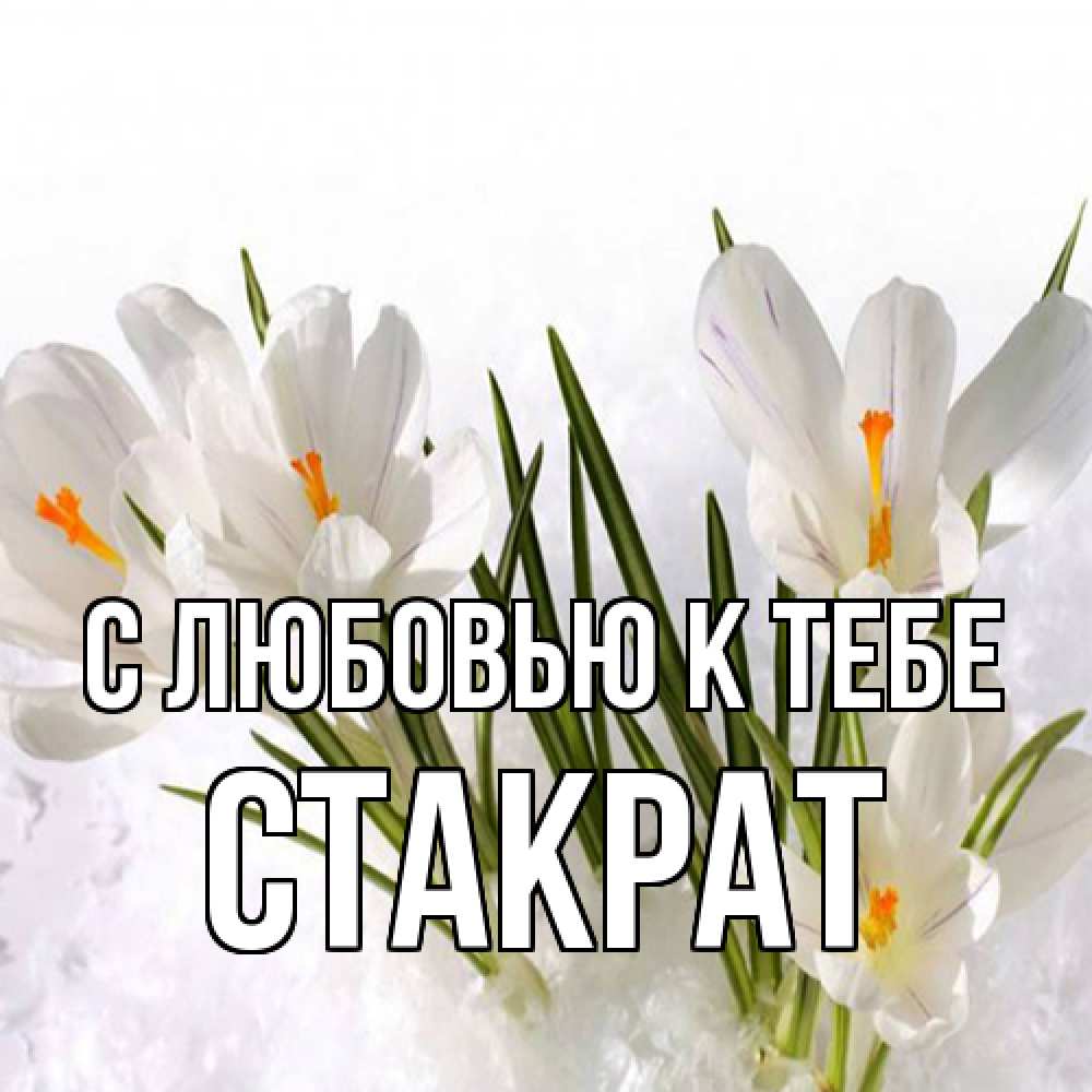 Открытка  с именем. Стакрат, С любовью к тебе  