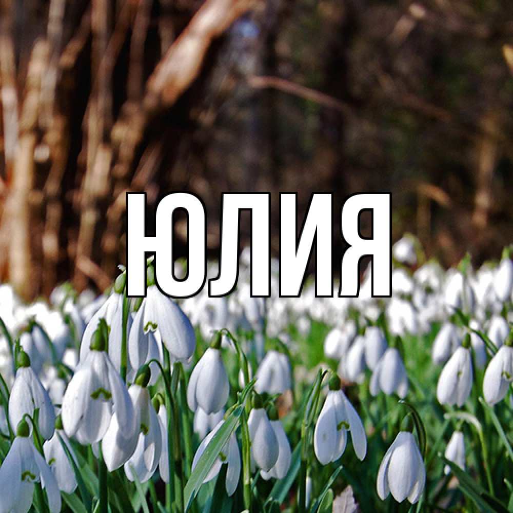 Открытка  с именем. Юлия, Главная  