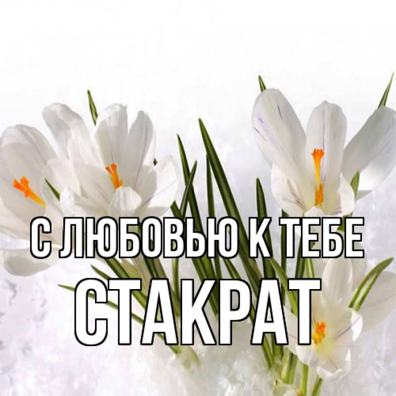Картинка С любовью к тебе, Стакрат