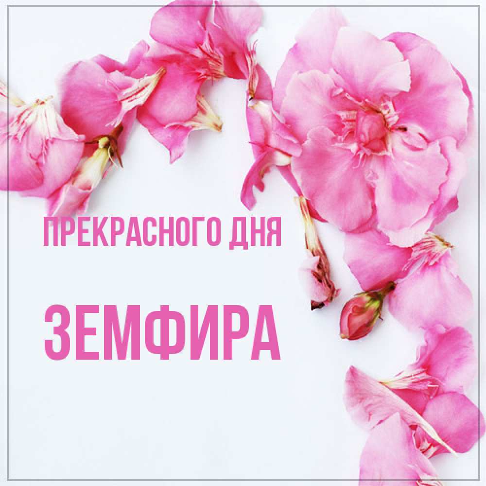 Открытка  с именем. Земфира, Прекрасного дня  