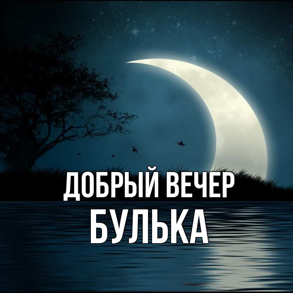 Открытка  с именем. Булька, Добрый вечер  