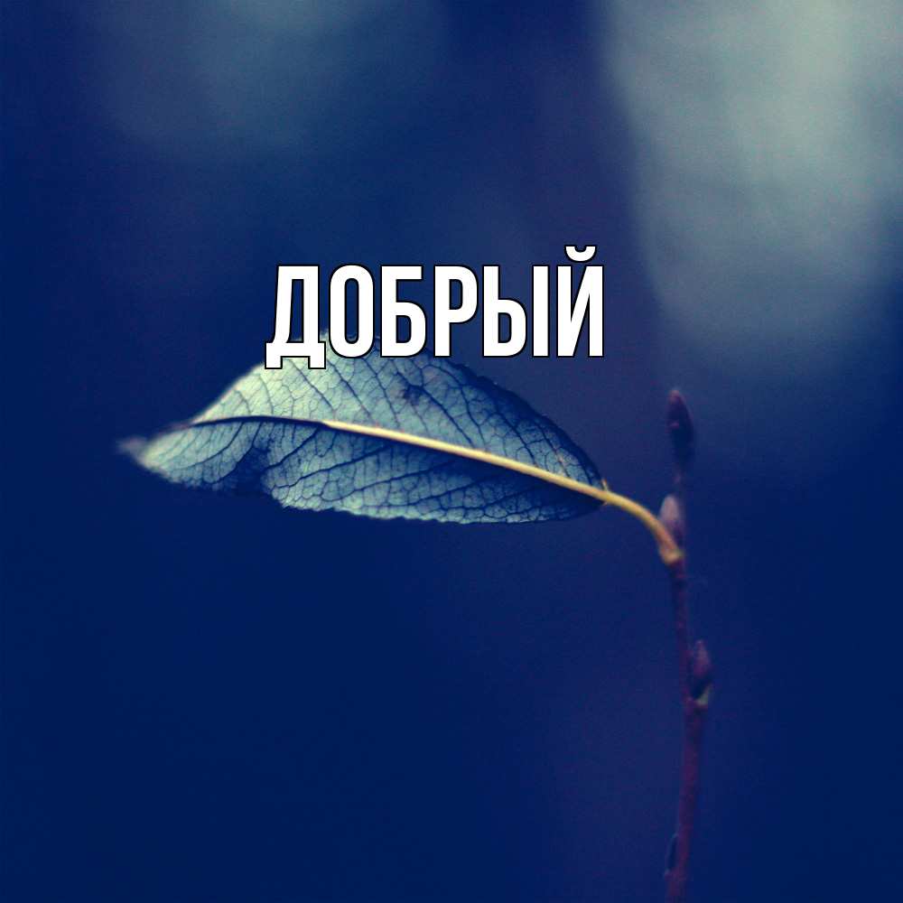 Открытка  с именем. Добрый, Главная  