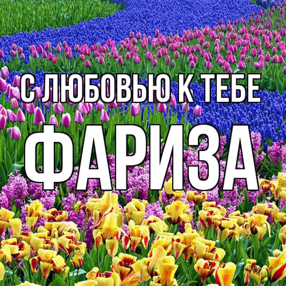 Открытка  с именем. Фариза, С любовью к тебе  