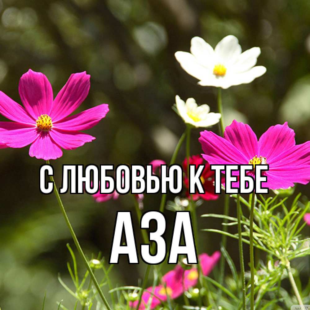 Открытка  с именем. Аза, С любовью к тебе  