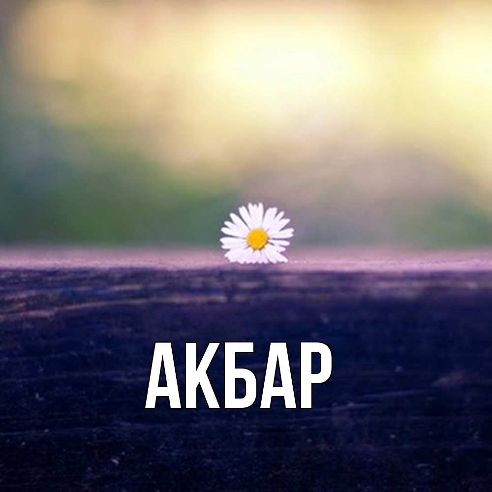 Открытка  с именем. Акбар, Главная  