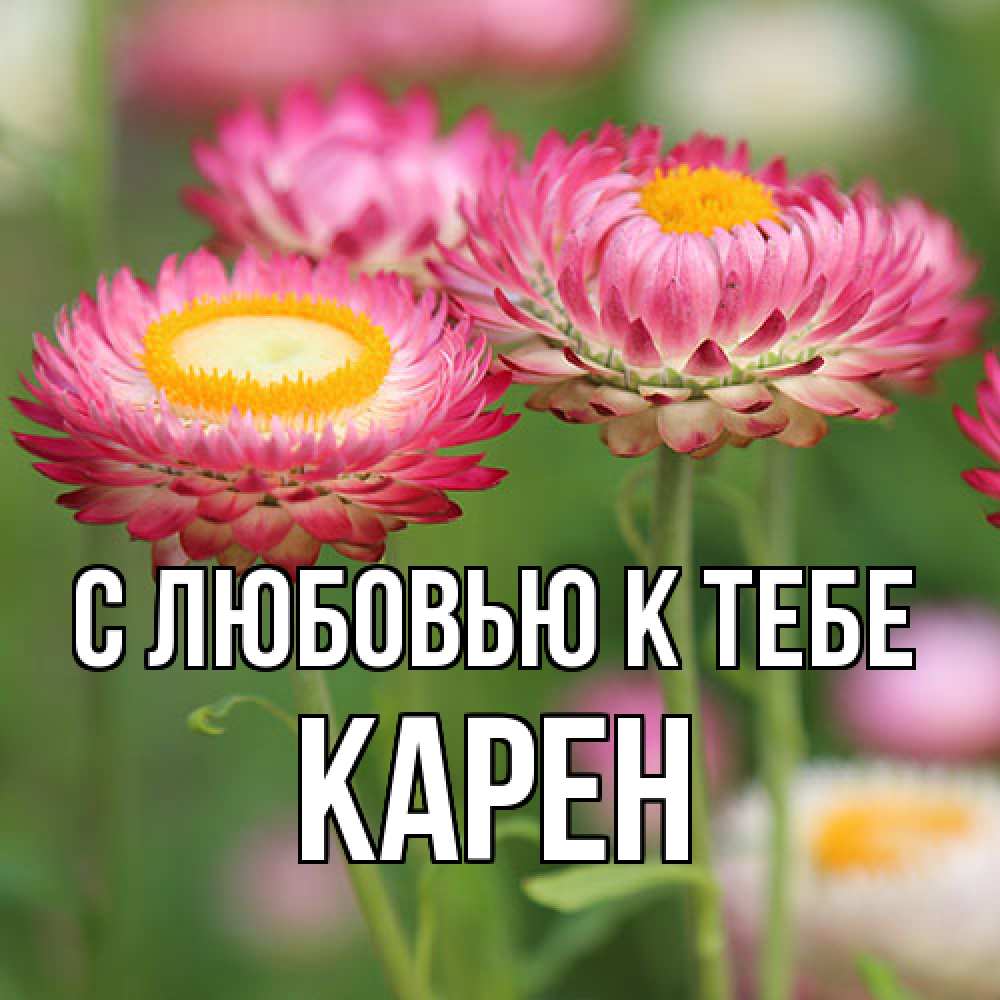 Открытка  с именем. Карен, С любовью к тебе  