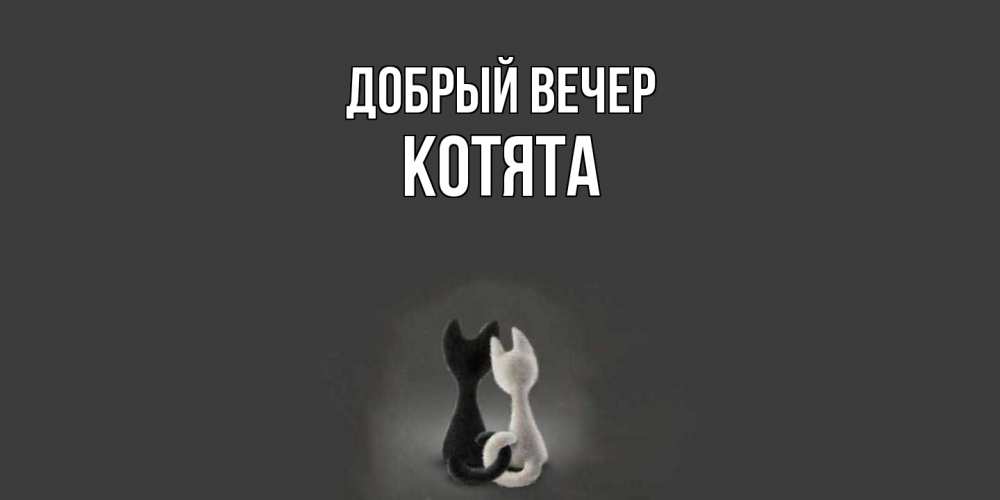Открытка  с именем. Котята, Добрый вечер  