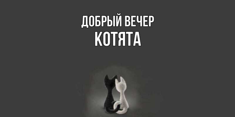 Картинка Добрый вечер, Котята