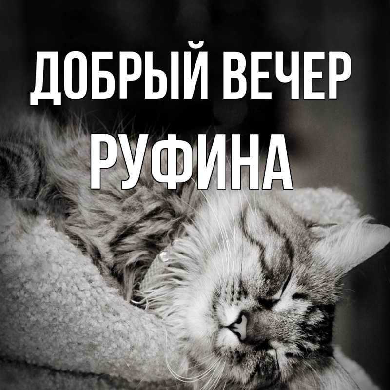 Картинка Добрый вечер, Руфина