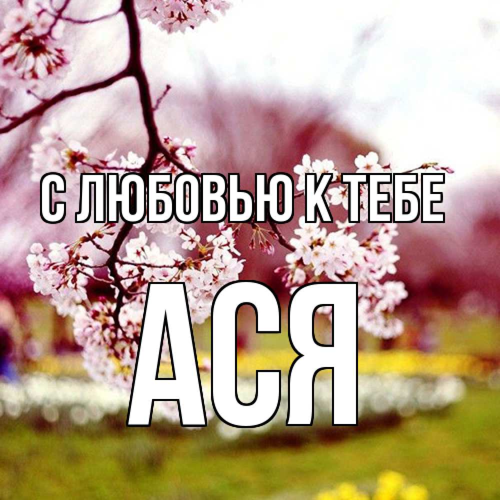 Открытка  с именем. Ася, С любовью к тебе  