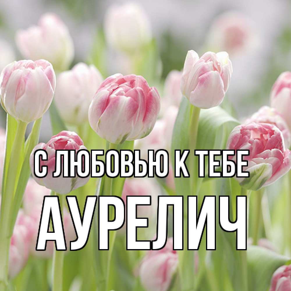 Открытка  с именем. Аурелич, С любовью к тебе  