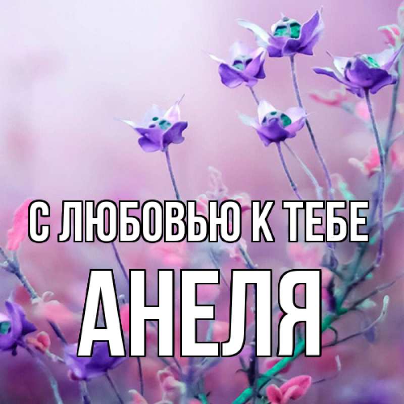 Картинка С любовью к тебе, Анеля