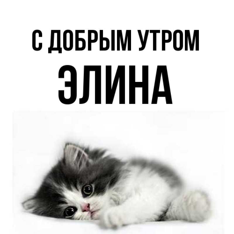 Картинка С добрым утром, Элина