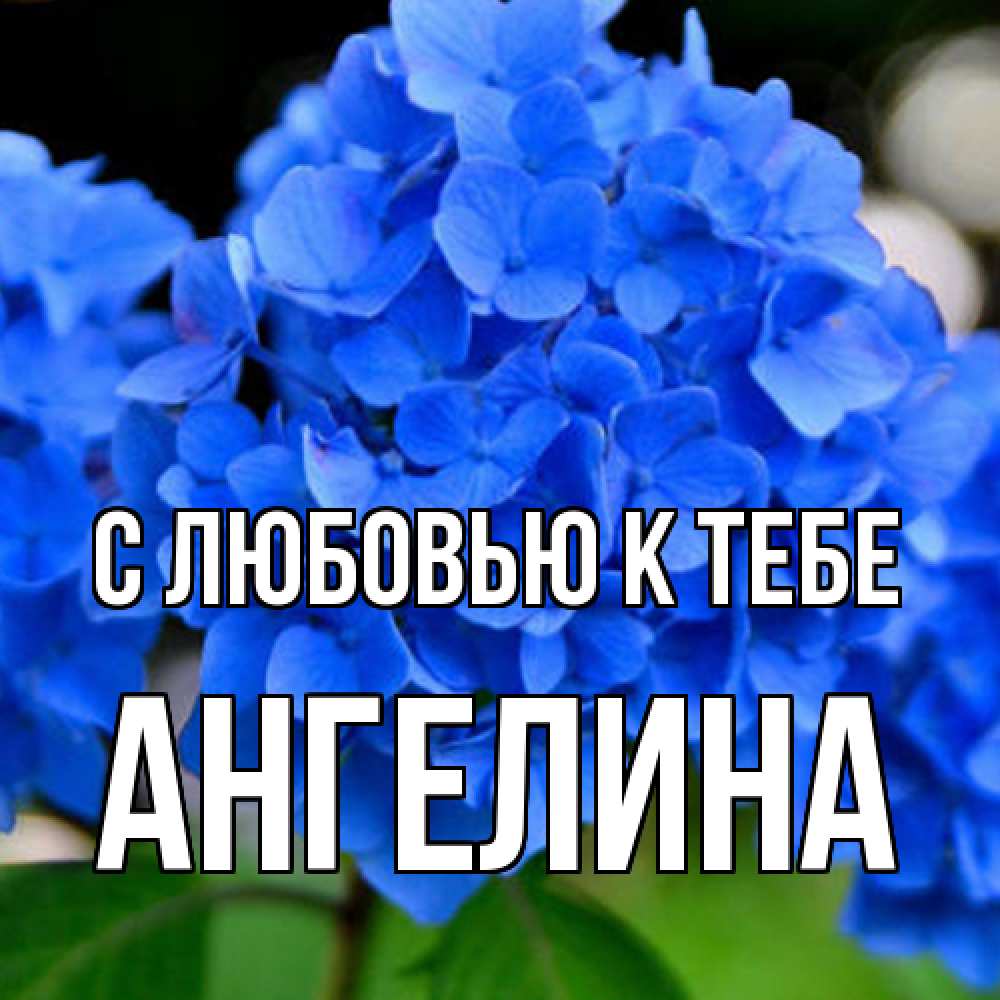 Открытка  с именем. Ангелина, С любовью к тебе  