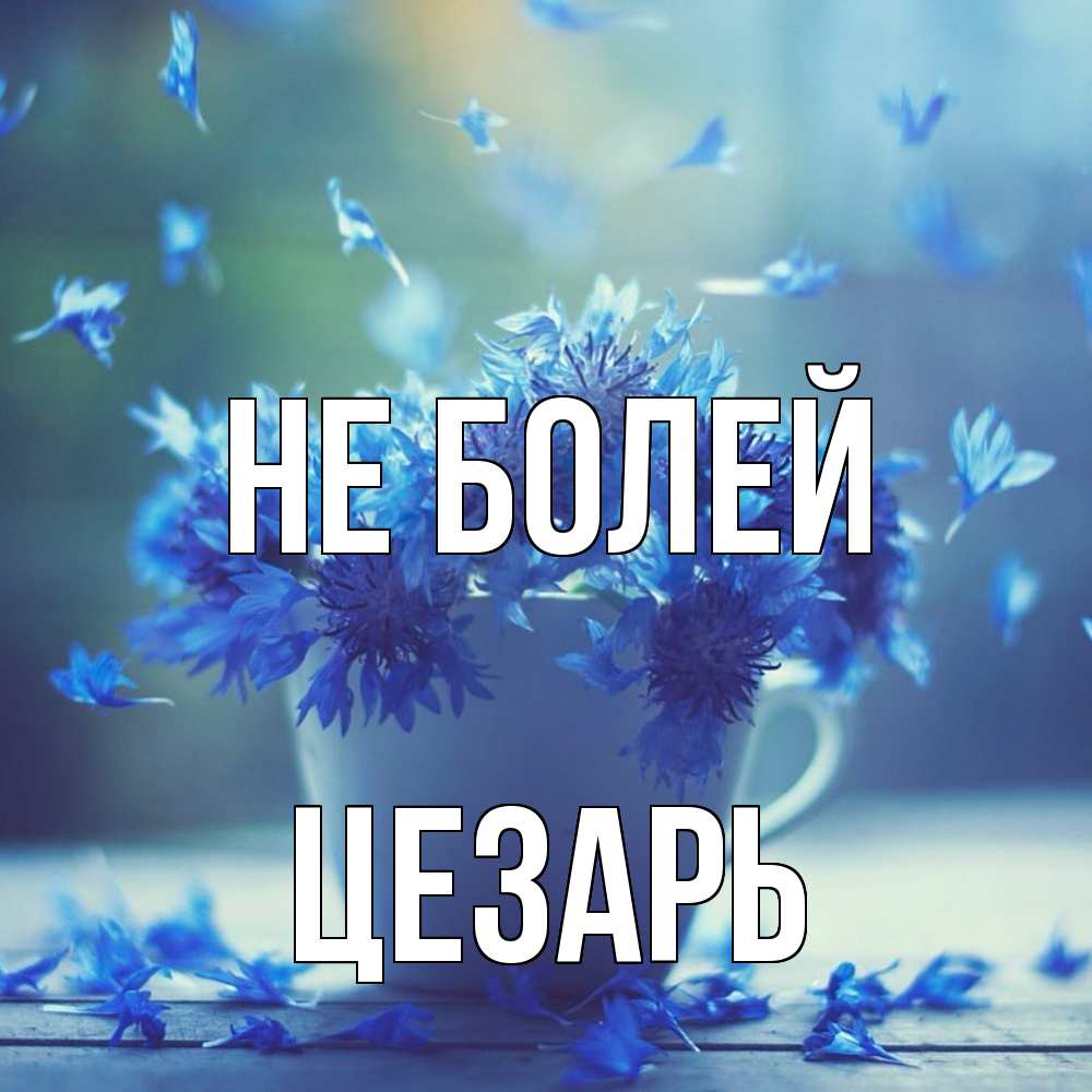 Открытка  с именем. Цезарь, Не болей  