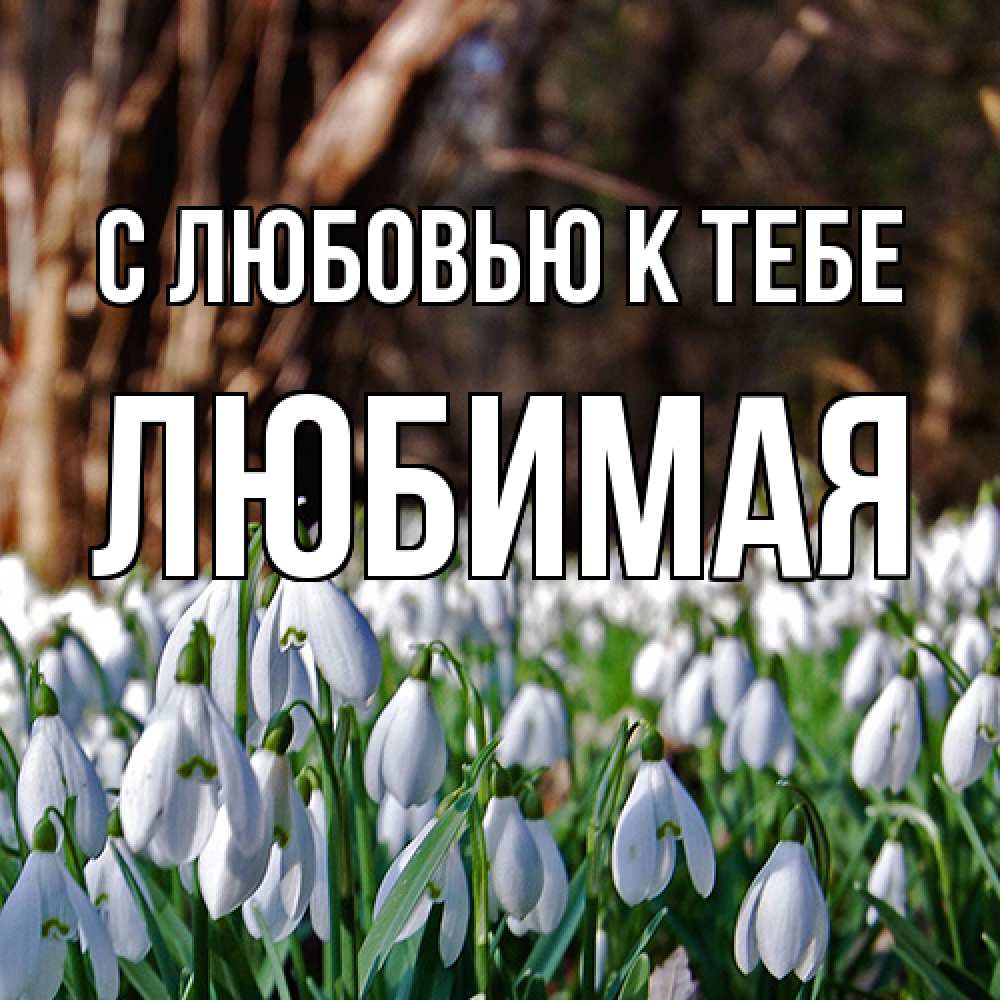Открытка  с именем. Любимая, С любовью к тебе  