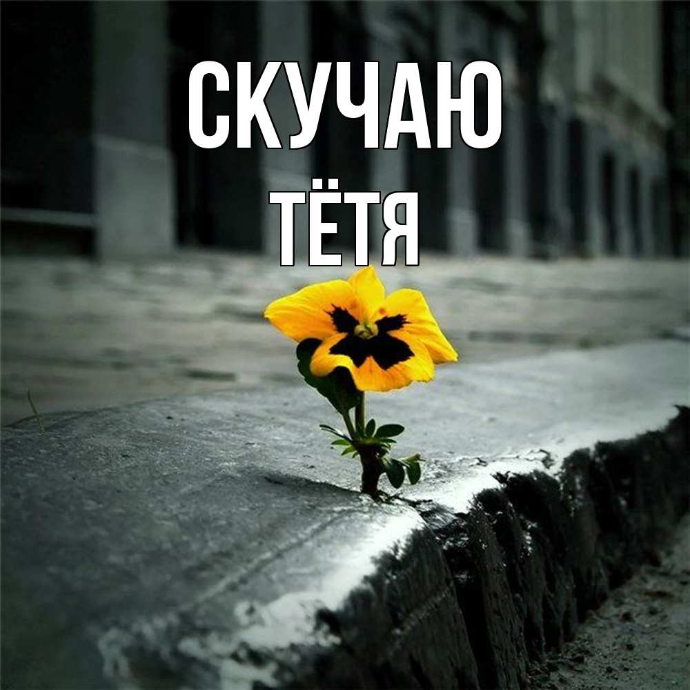 Открытка  с именем. Тётя, Скучаю  