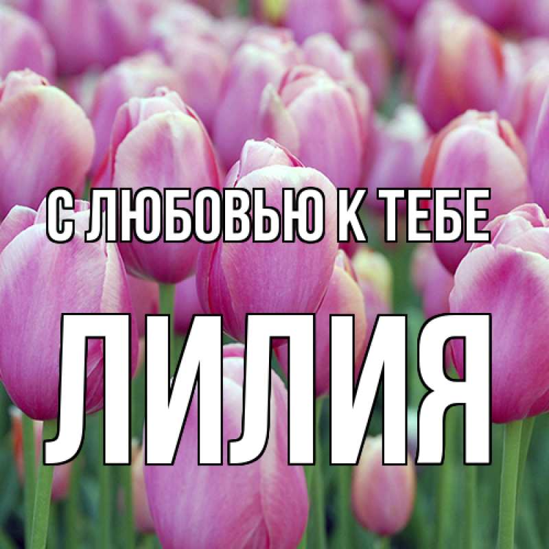Картинка С любовью к тебе, ЛИлия