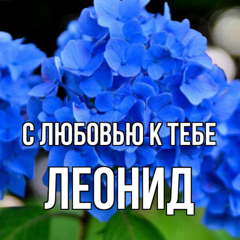 Картинка С любовью к тебе, Леонид