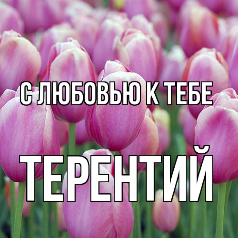 Картинка С любовью к тебе, Терентий
