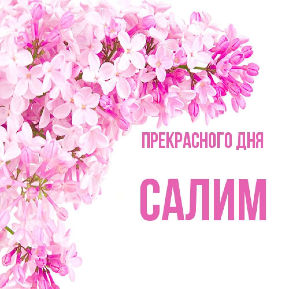 Открытка  с именем. Салим, Прекрасного дня  