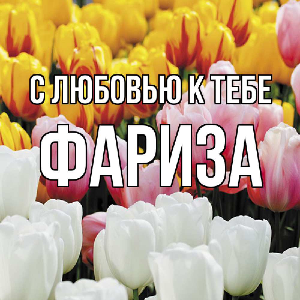 Открытка  с именем. Фариза, С любовью к тебе  