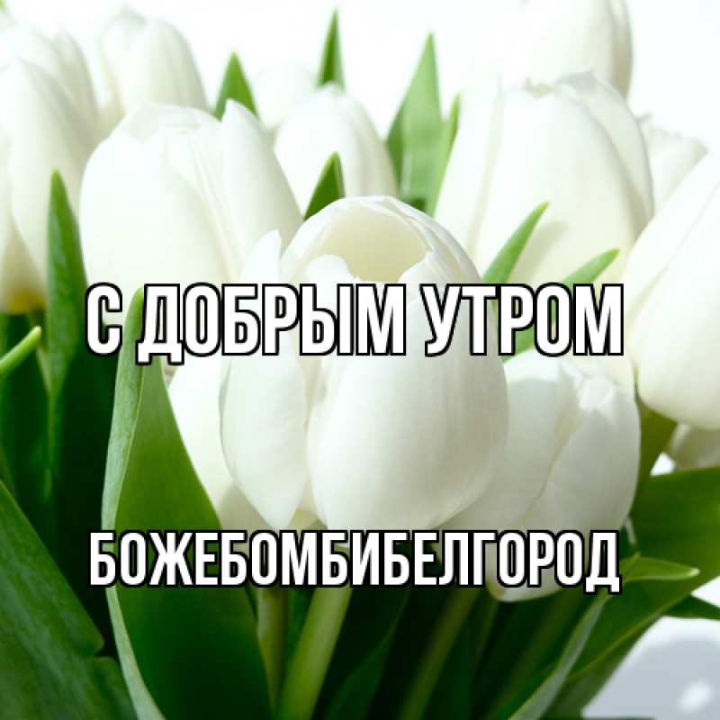 Картинка С добрым утром, боже.бомби.белгород