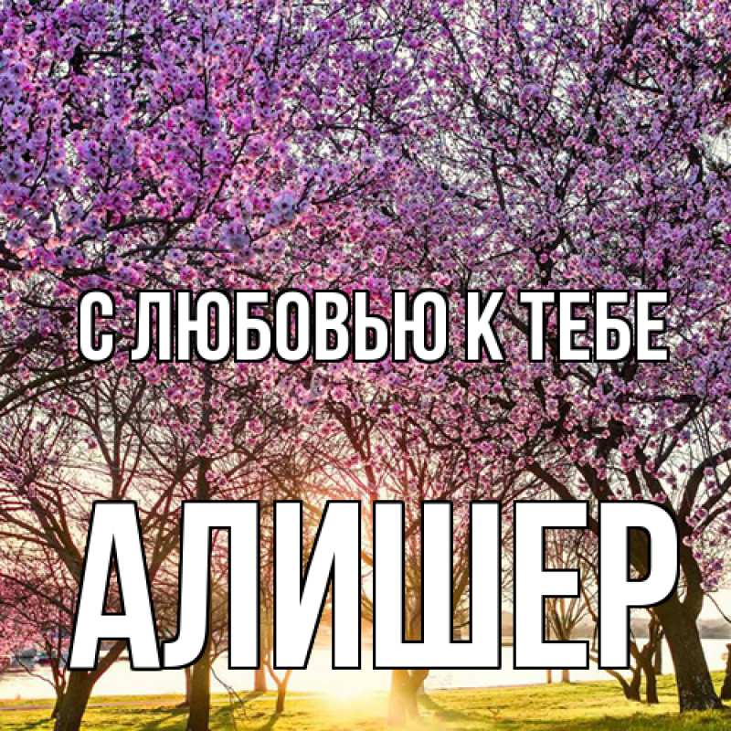 Картинка С любовью к тебе, Алишер