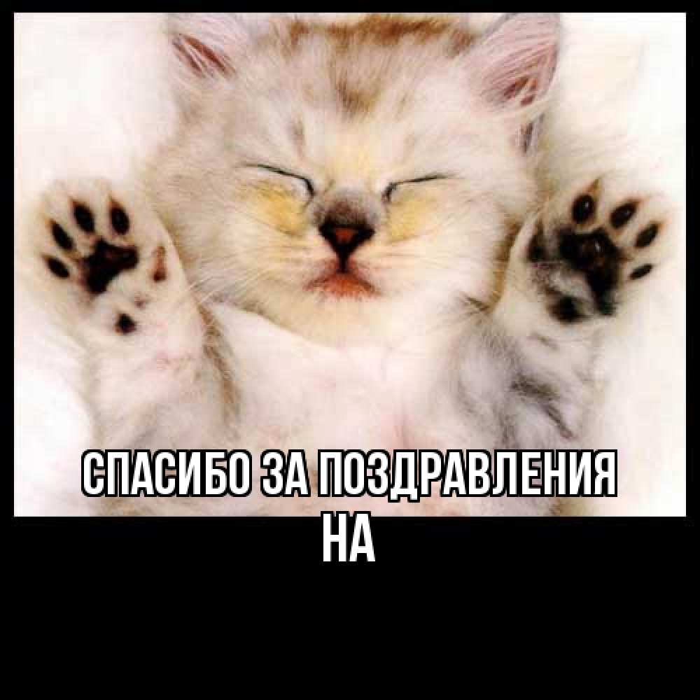 Открытка  с именем. на, Спасибо за поздравления  