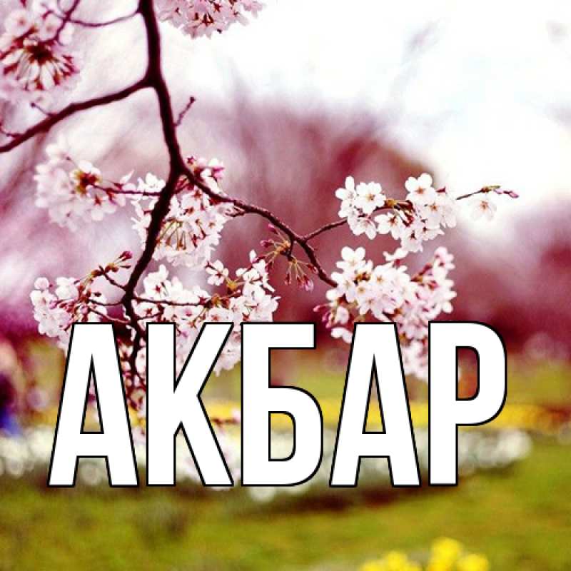 Картинка  с именем , Акбар