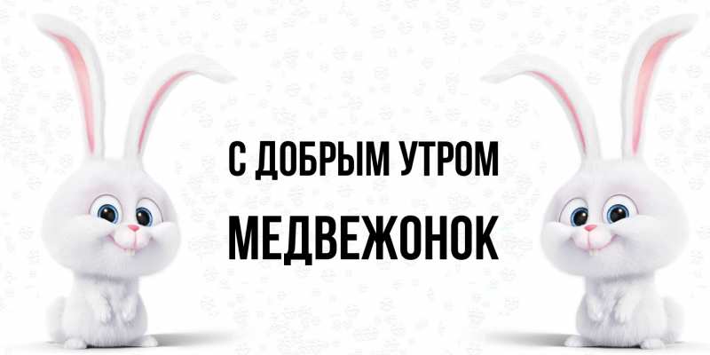 Картинка С добрым утром, Медвежонок