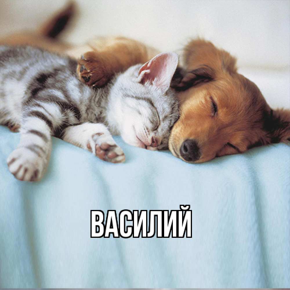 Открытка  с именем. Василий, Главная  