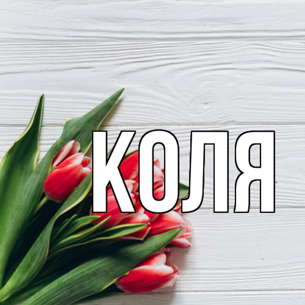 Открытка  с именем. коля, Главная  