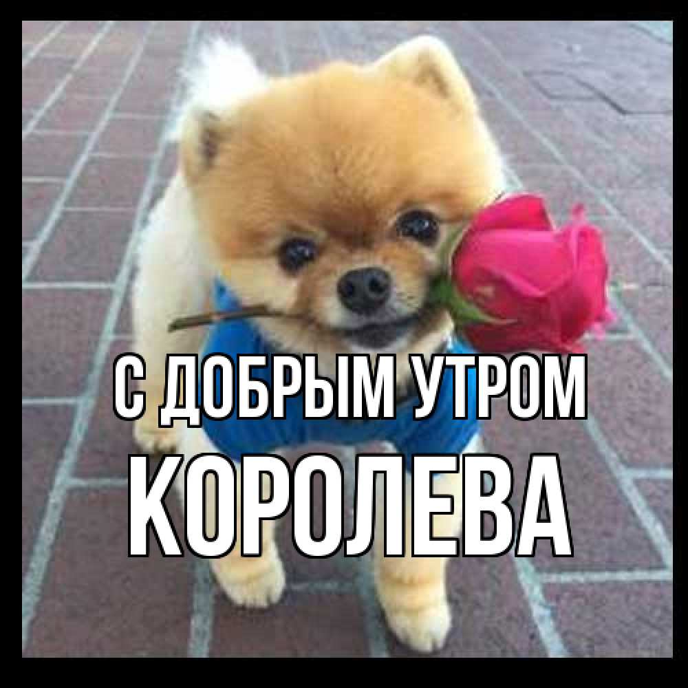 Открытка  с именем. Королева, С добрым утром  