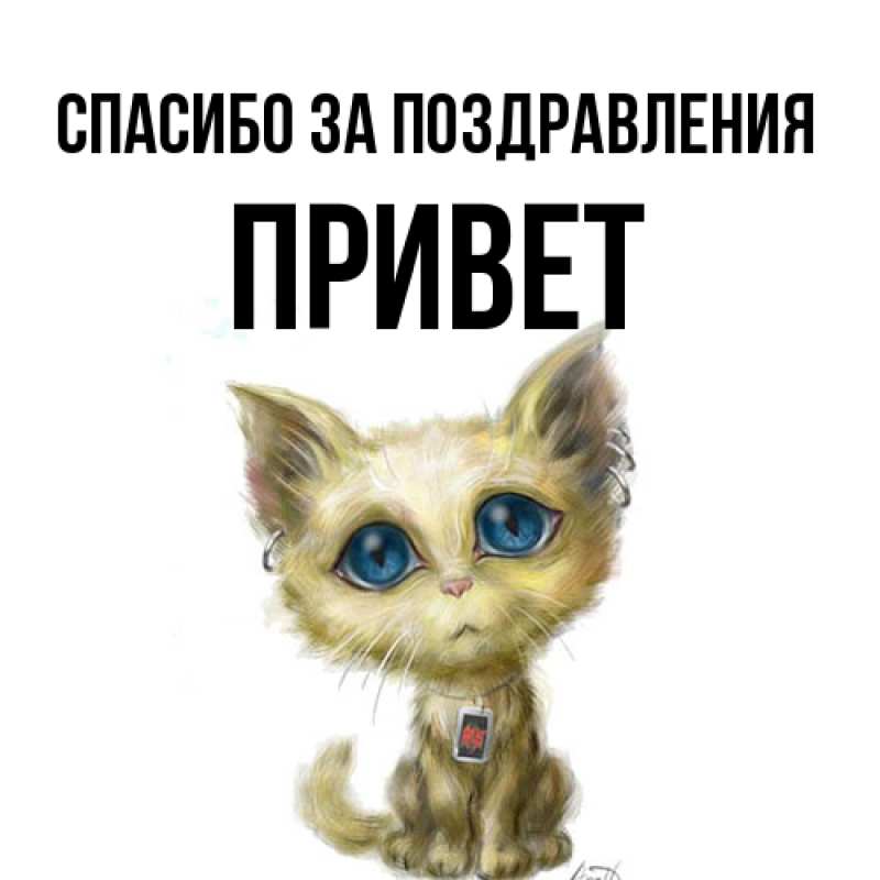 Картинка Спасибо за поздравления, Привет